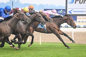 TOUGH FILLY HOLDS OFF ALL CHALLENGERS